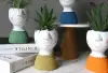 Hanlv handicrafts, creative cement character images, realistic succulent plant potted plants, bonsai, home decoration ornaments, window display decoration props undefined